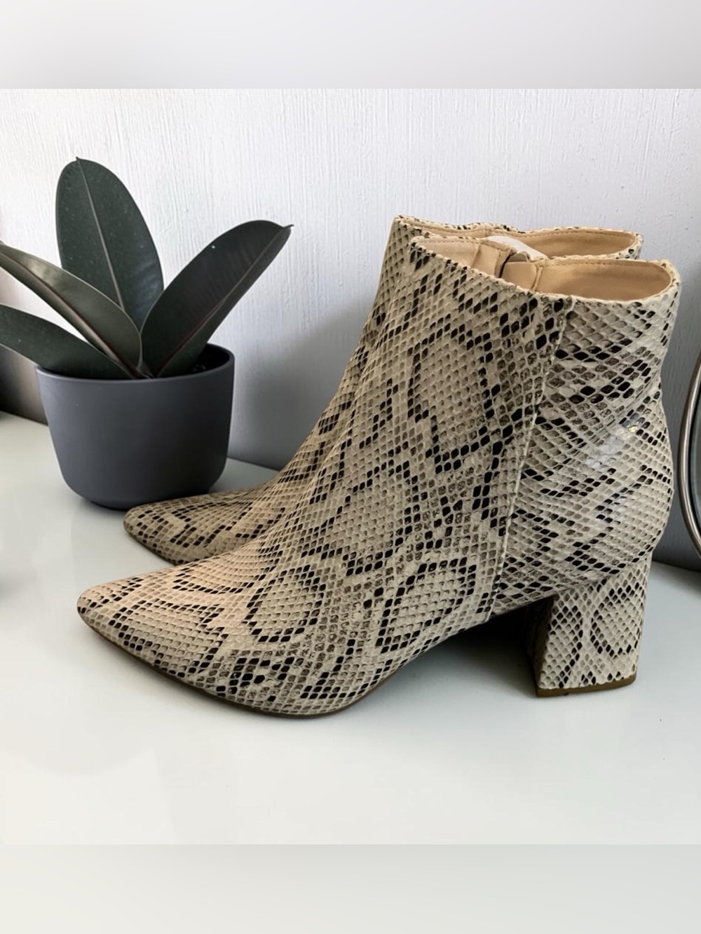 NWB X2B FAUX SNAKESKIN POINTED TOE BLOCK HEEL ANKLE BOOTS SIZE 10